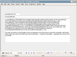 OpenOffice Base wp_posts